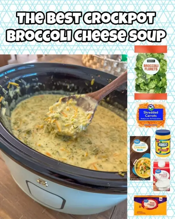 Bowl of creamy crockpot broccoli cheese soup topped with shredded cheese.