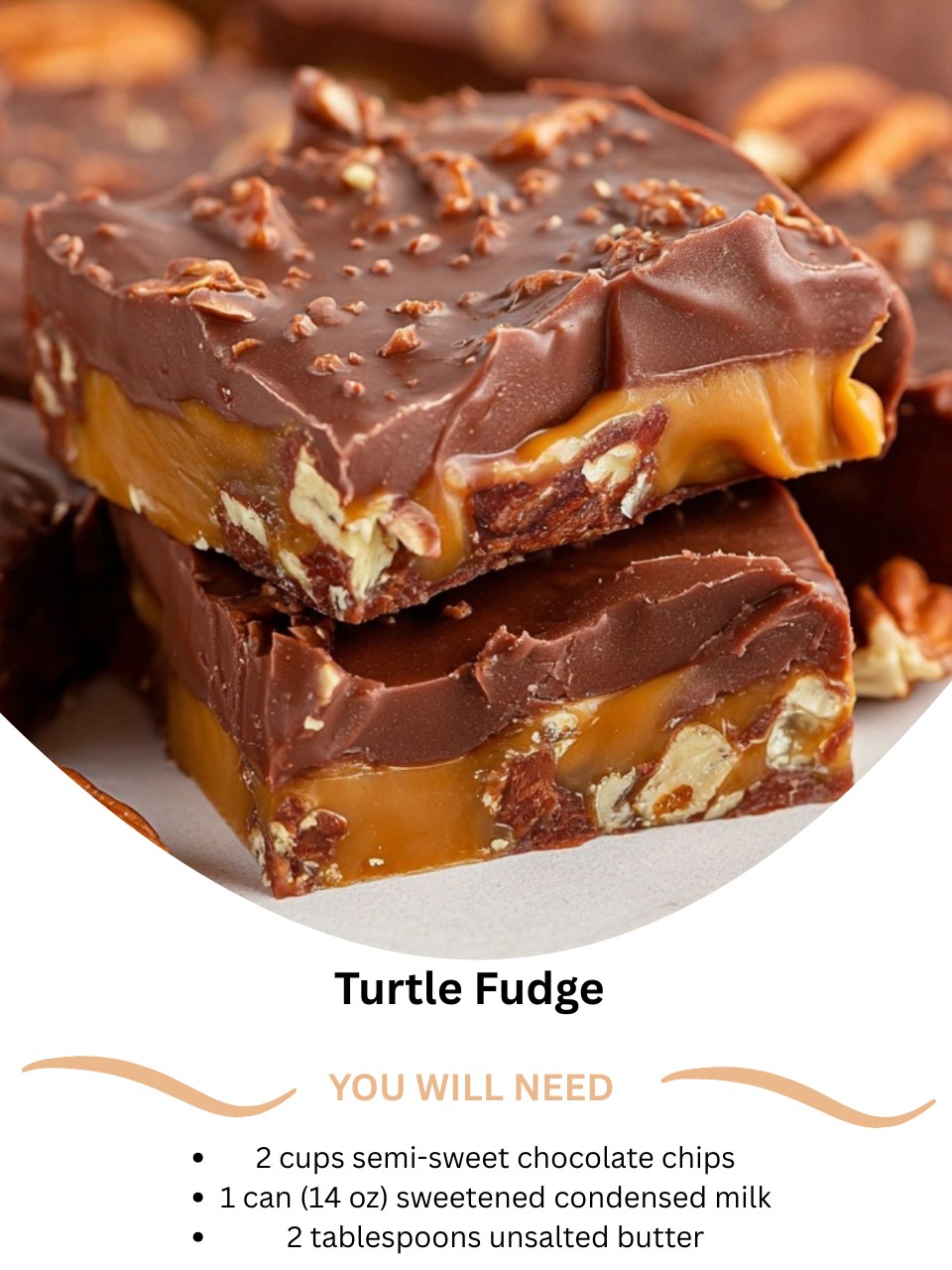 Turtle Fudge