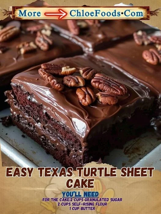 Delicious Easy Texas Turtle Sheet Cake topped with chocolate, caramel, and pecans