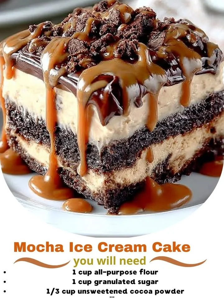 Delicious mocha ice cream cake with chocolate and coffee flavors
