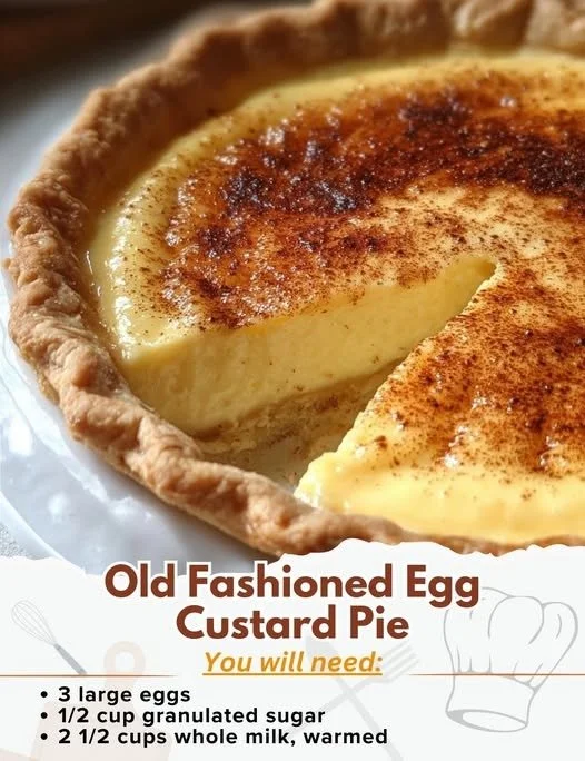 Slice of old fashioned egg custard pie on a decorative plate