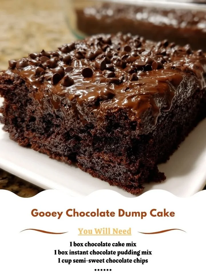 Gooey chocolate dump cake served on a plate with melted chocolate drizzle.