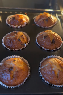 Chocolate Chip Muffins
